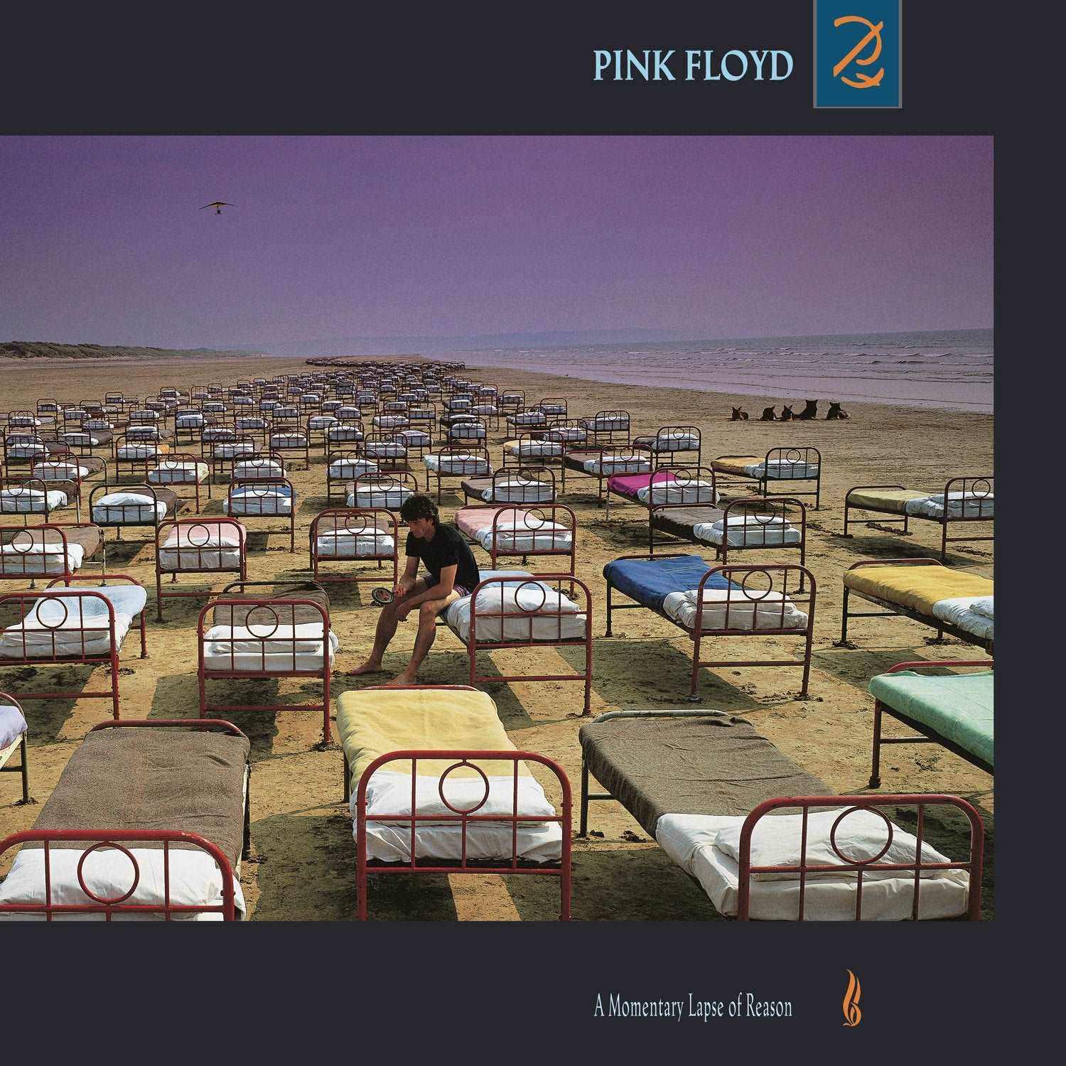 A Momentary Lapse Of Reason | Pink Floyd - Vinyl.ae