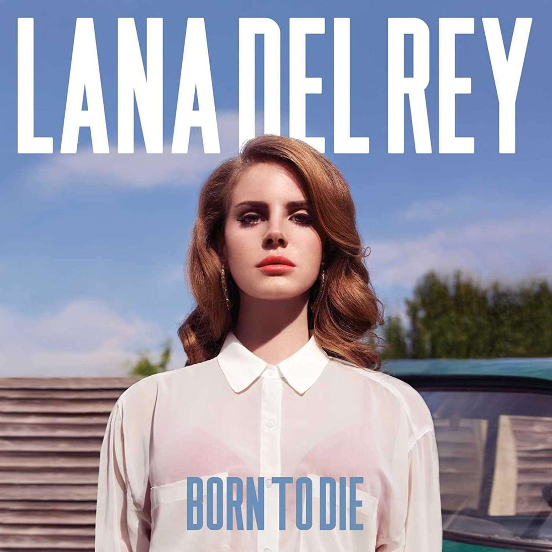 Born to Die | Lana Del Rey - Vinyl.ae